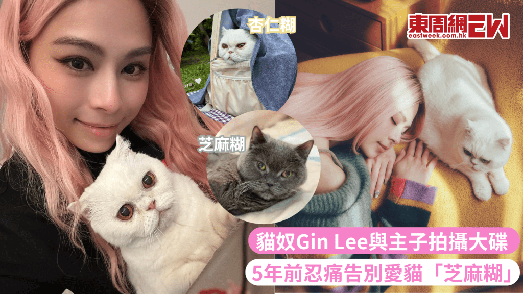 Gin Lee李幸倪與愛貓拍攝大碟照片 5年前目送英短「芝麻糊」離世 慨嘆要珍惜眼前一切