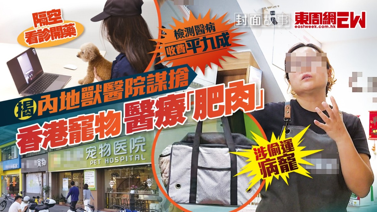 隔空看診開藥 涉偷運病寵 內地獸醫院謀搶 香港寵物醫療「肥肉」
