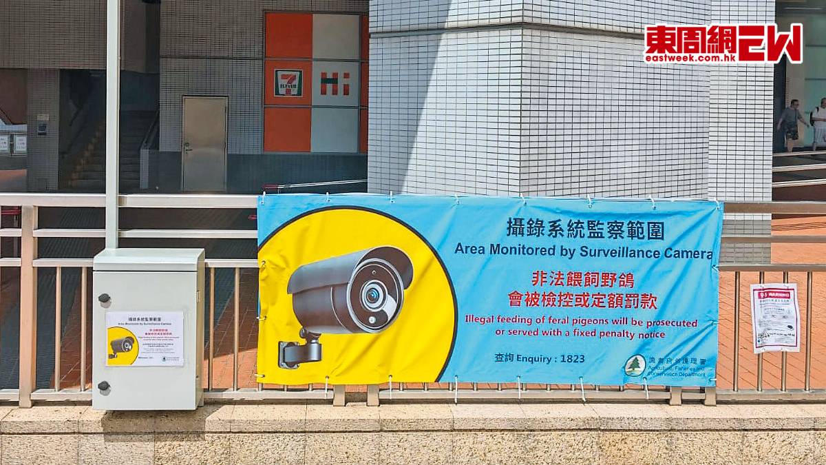 禁餵野鴿發321告票 漁護署用AI助執法 | 政官莊