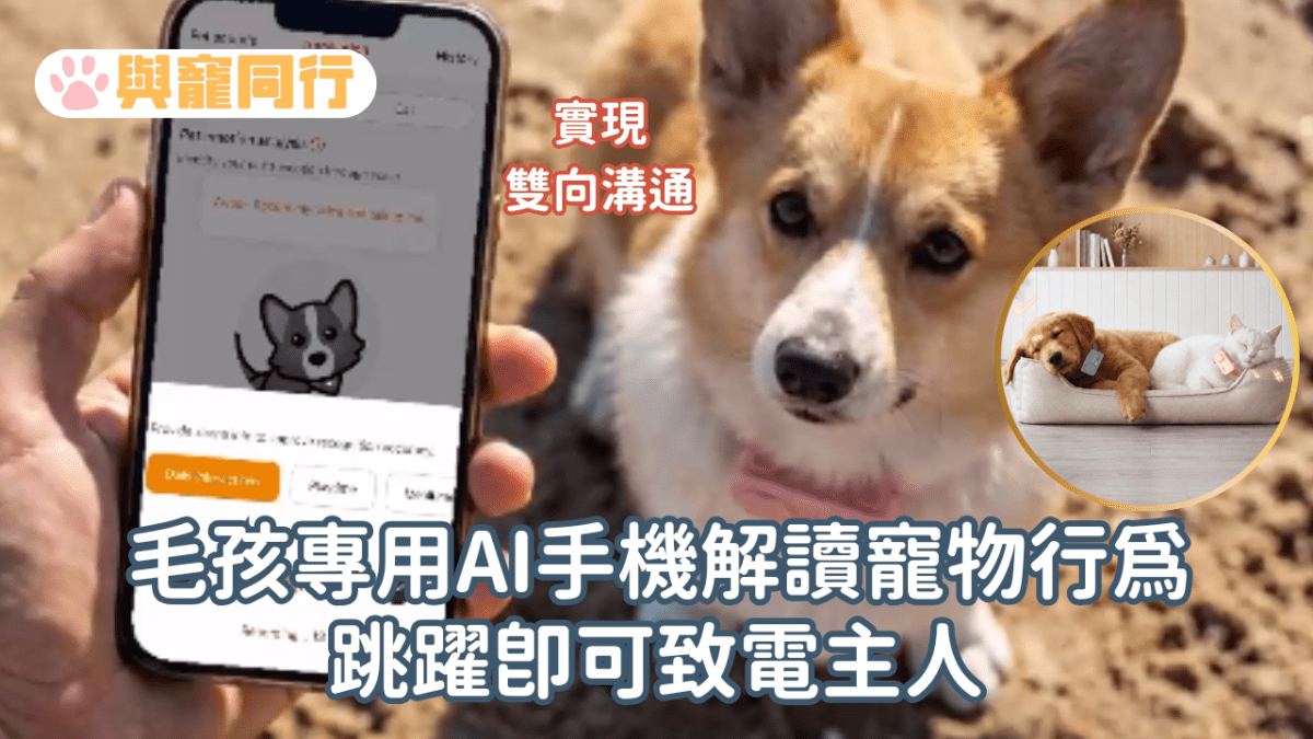 毛孩專用AI手機解讀寵物行為 跳躍即可致電主人實現雙向溝通