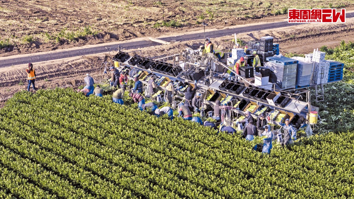 中東戰爭重創化肥供應 全球恐爆糧食危機 | 國際解碼