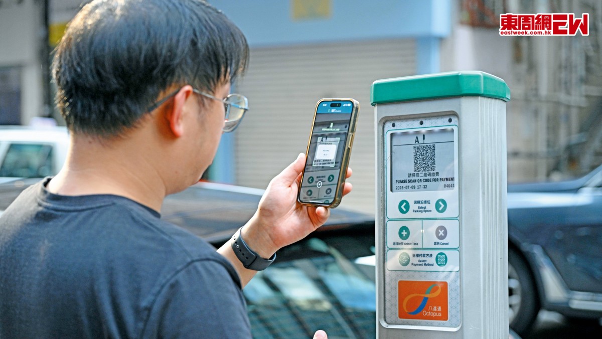 「入錶易」常現假「吉位」區會倡加強票控霸位車輛 | 政官莊
