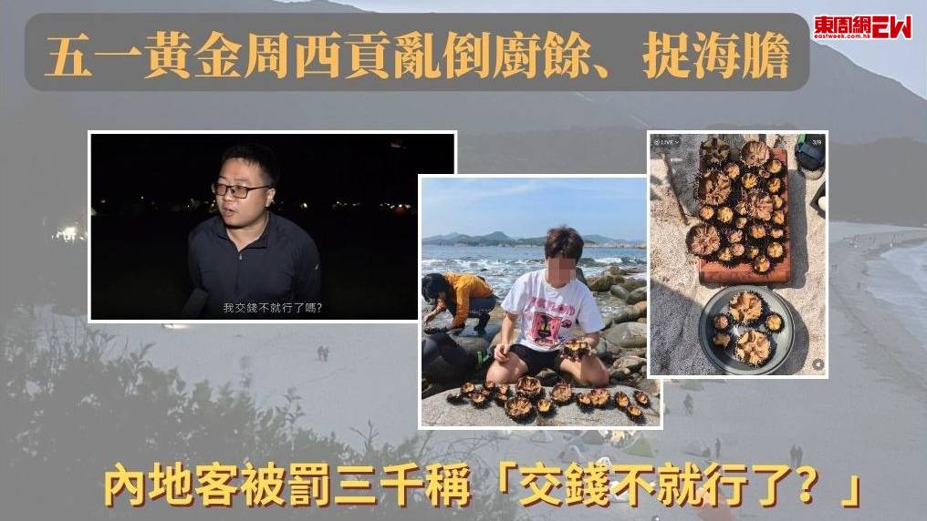 五一黃金周西貢亂倒廚餘、捉海膽　內地客被罰三千稱「交錢不就行了？」