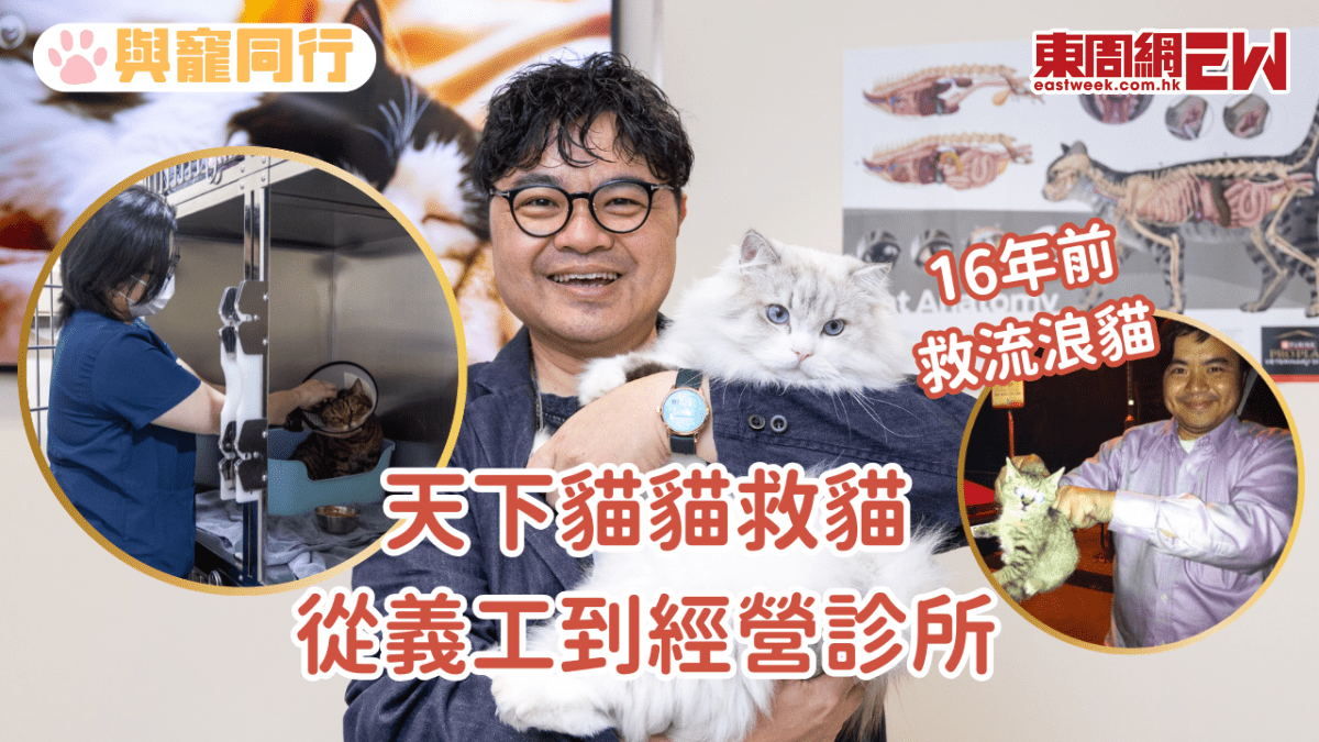 天下貓貓救貓：從義工到經營診所