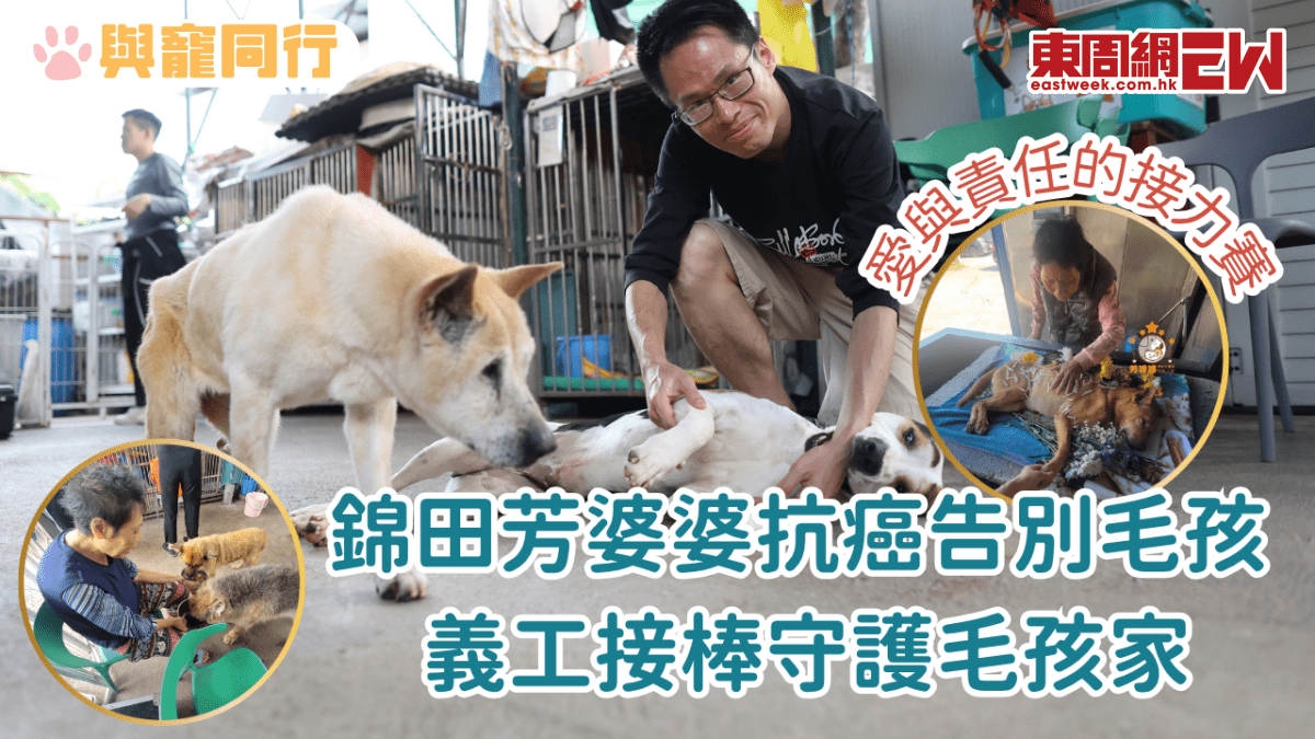 錦田芳婆婆抗癌告別毛孩 義工接棒守護毛孩家