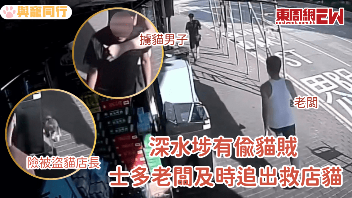 深水埗有偷貓賊 士多老闆及時追出救店貓