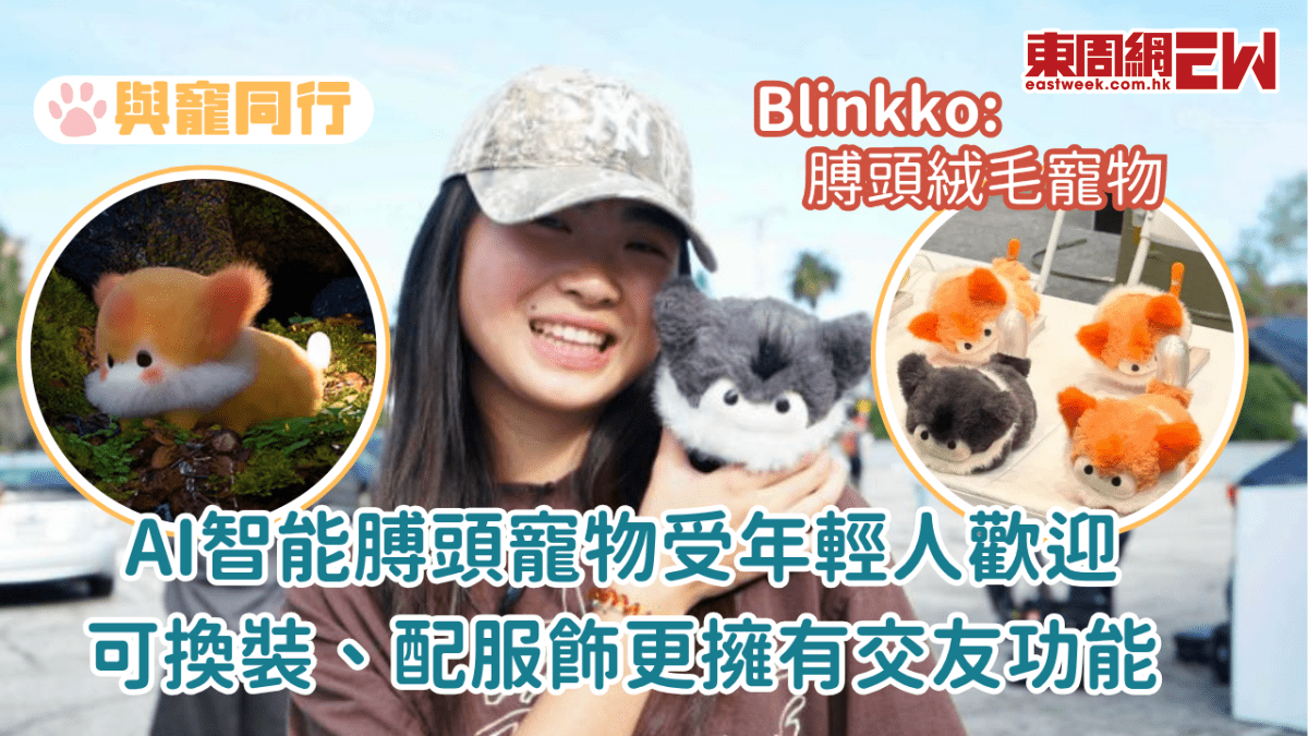 AI膊頭寵物受年輕人歡迎  Blinkko可換裝、配服飾更擁有交友功能