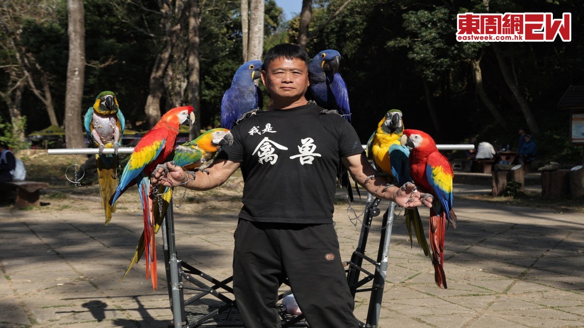 多陪伴忌獨居│ 培育快樂鸚鵡