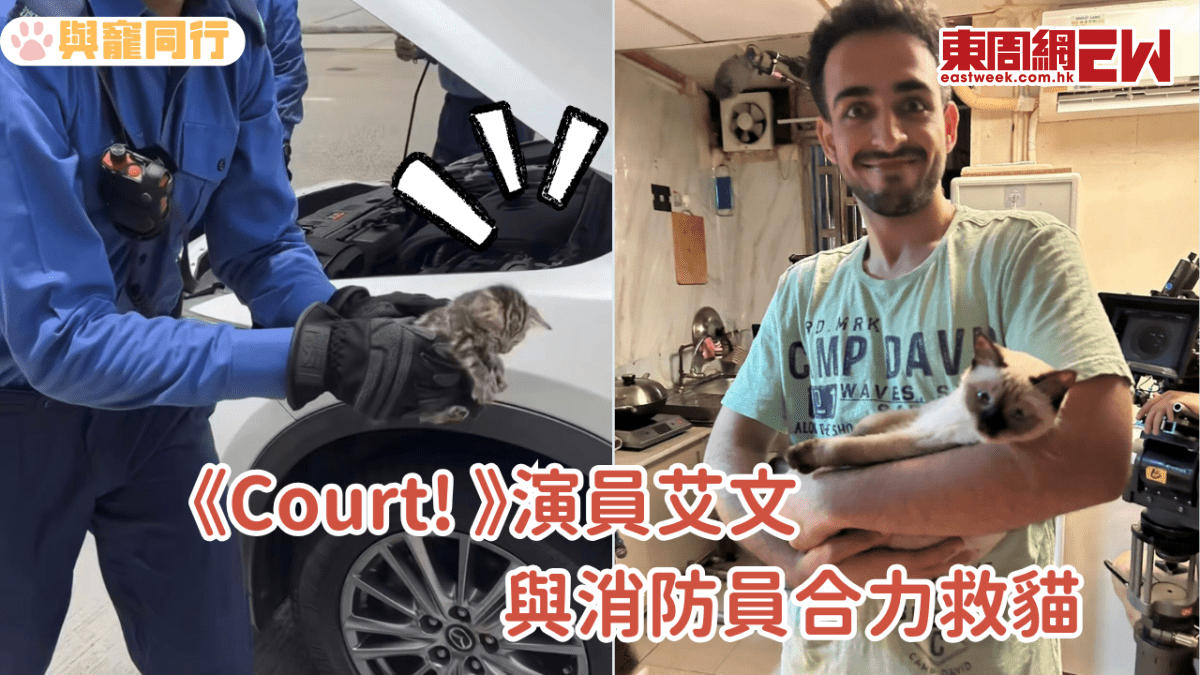 《Court! 》演員艾文與消防員合力救貓