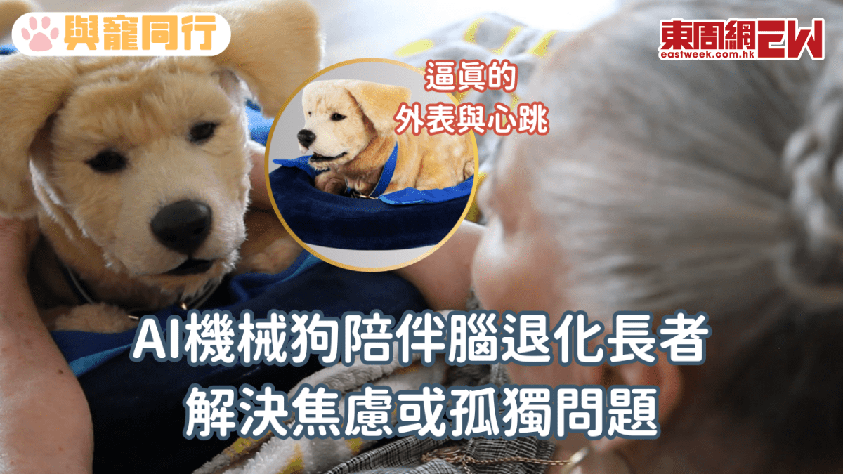AI機械狗陪伴腦退化長者 解決焦慮或孤獨問題