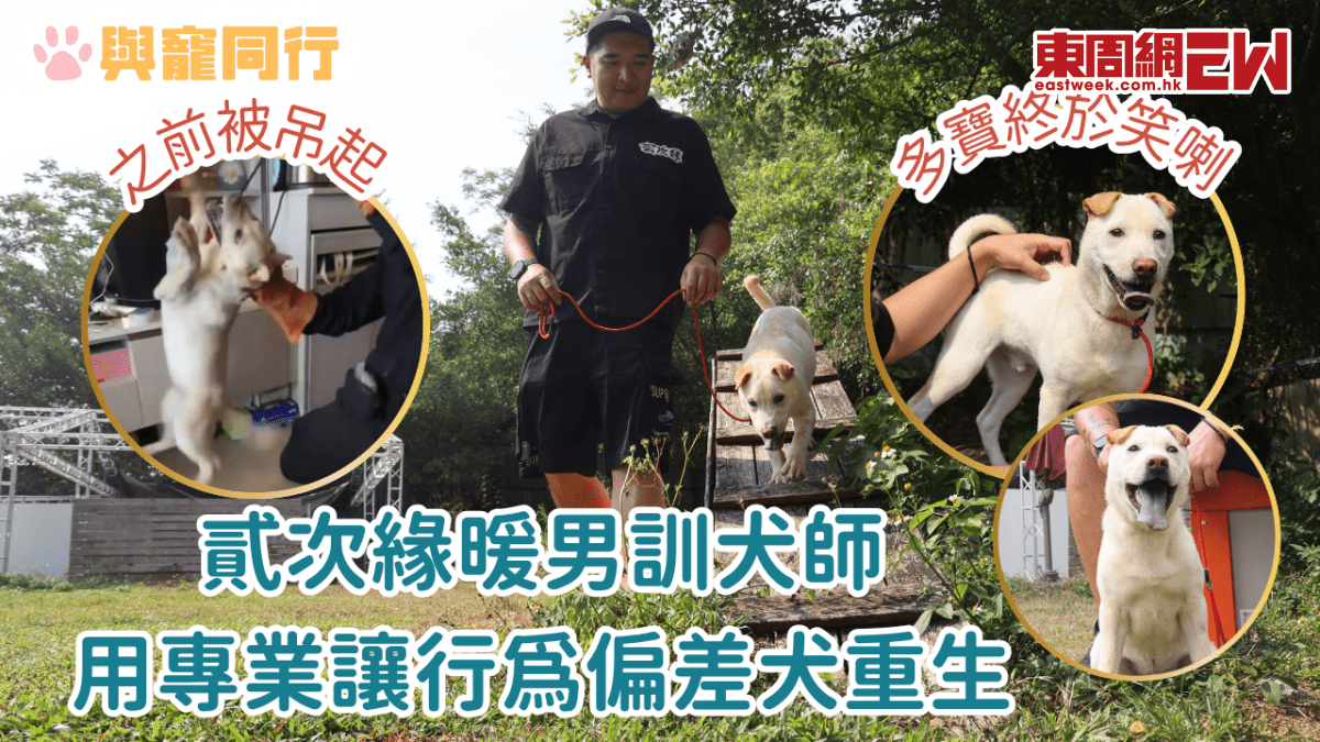 貳次緣暖男訓犬師：用專業讓行為偏差犬重生