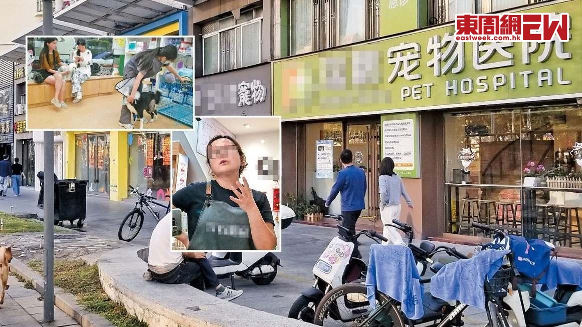 隔空看診開藥 涉偷運病寵 內地獸醫院謀搶 香港寵物醫療「肥肉」︱新一期《東周刊》精彩預告