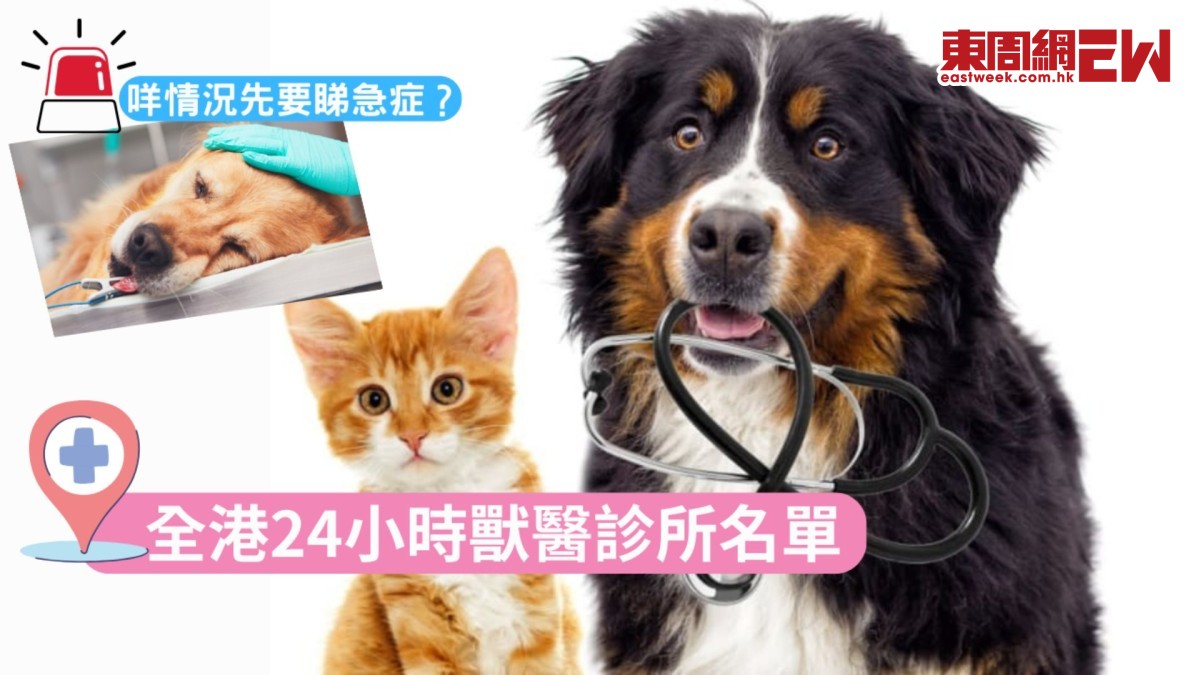 全港24小時獸醫診所名單新年期間毛孩點先要衝急症？