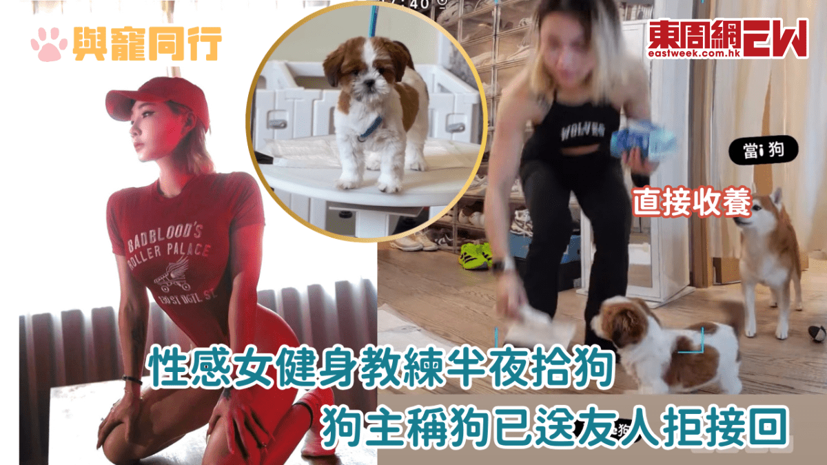 性感女健身教練半夜拾狗 狗主稱狗已送友人拒接回