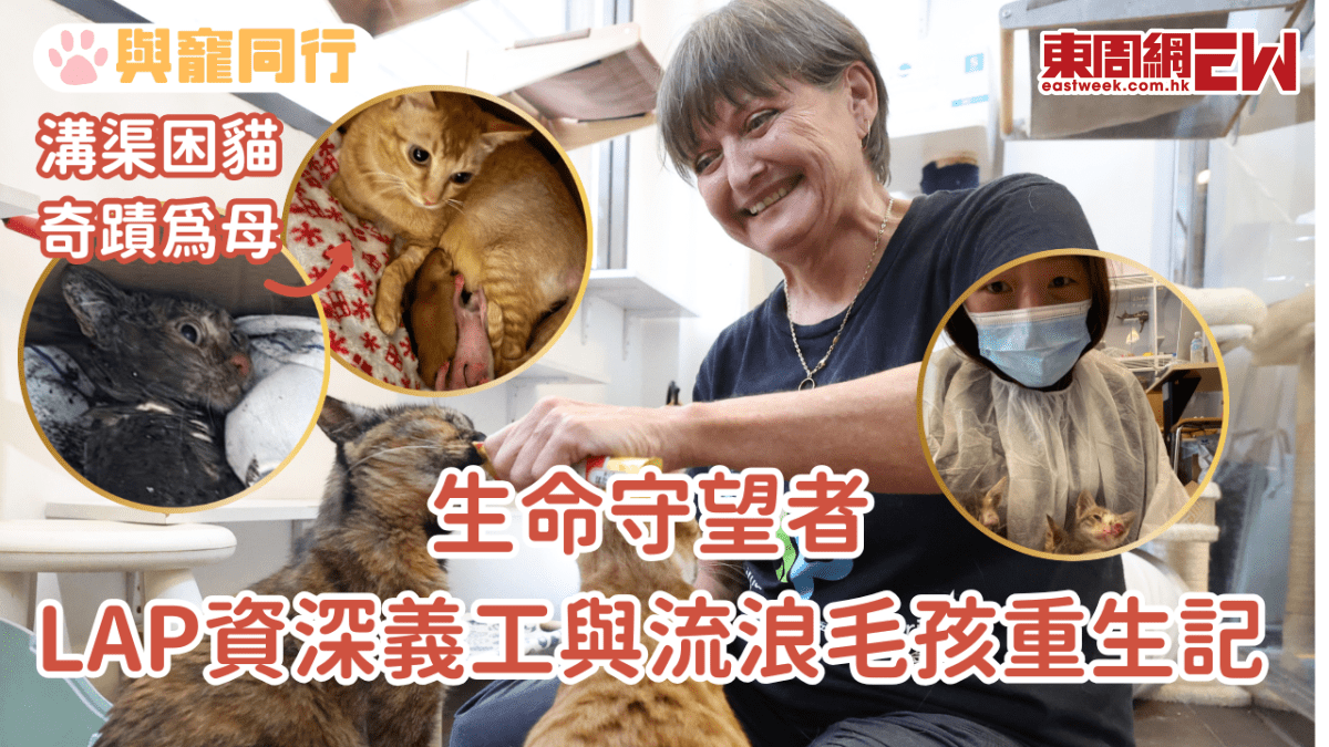 生命守望者 LAP資深義工與流浪毛孩重生記