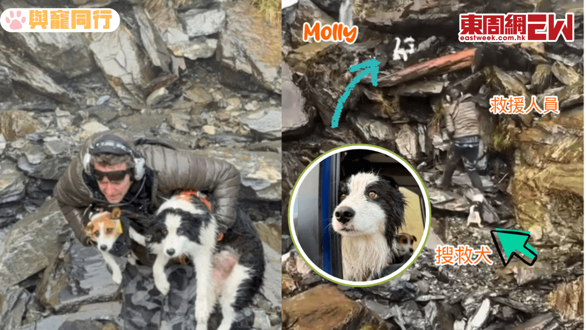 紐西蘭邊牧墮瀑布等候7日 靠眾籌出動直升機救回