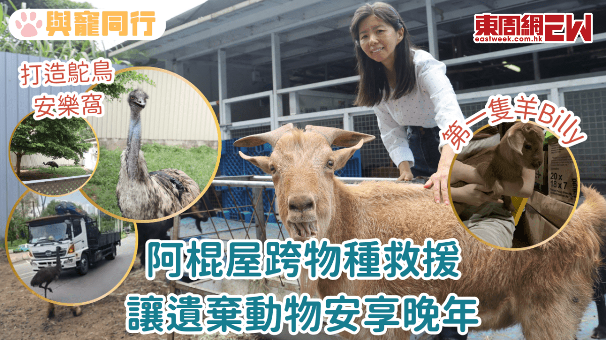 阿棍屋跨物種救援 讓遺棄動物安享晚年